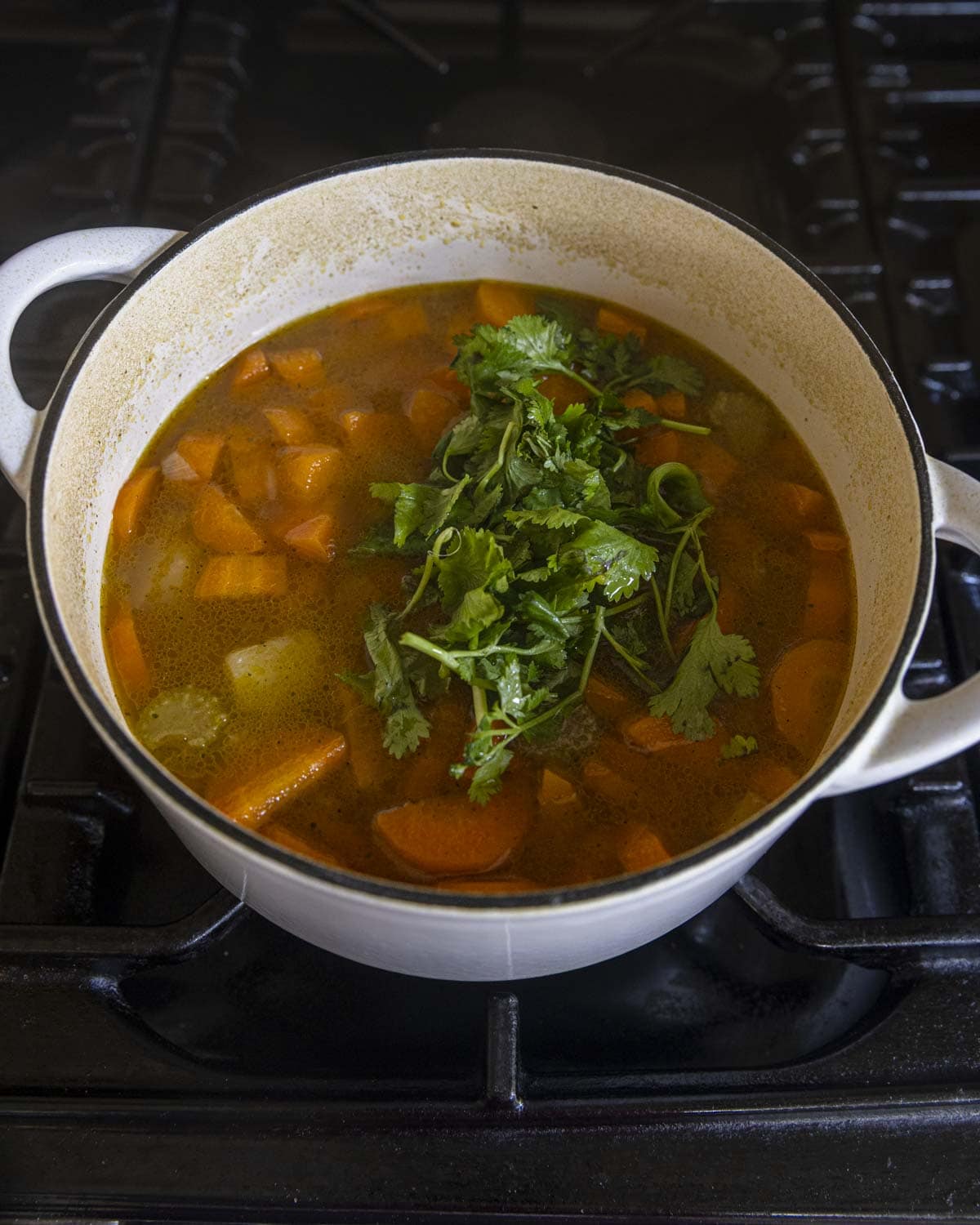 fresh coriander on top of the simmered carrot coriander soup.