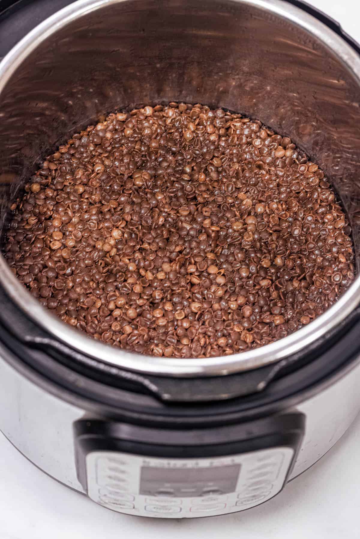 whole brown lentils in the instant pot.