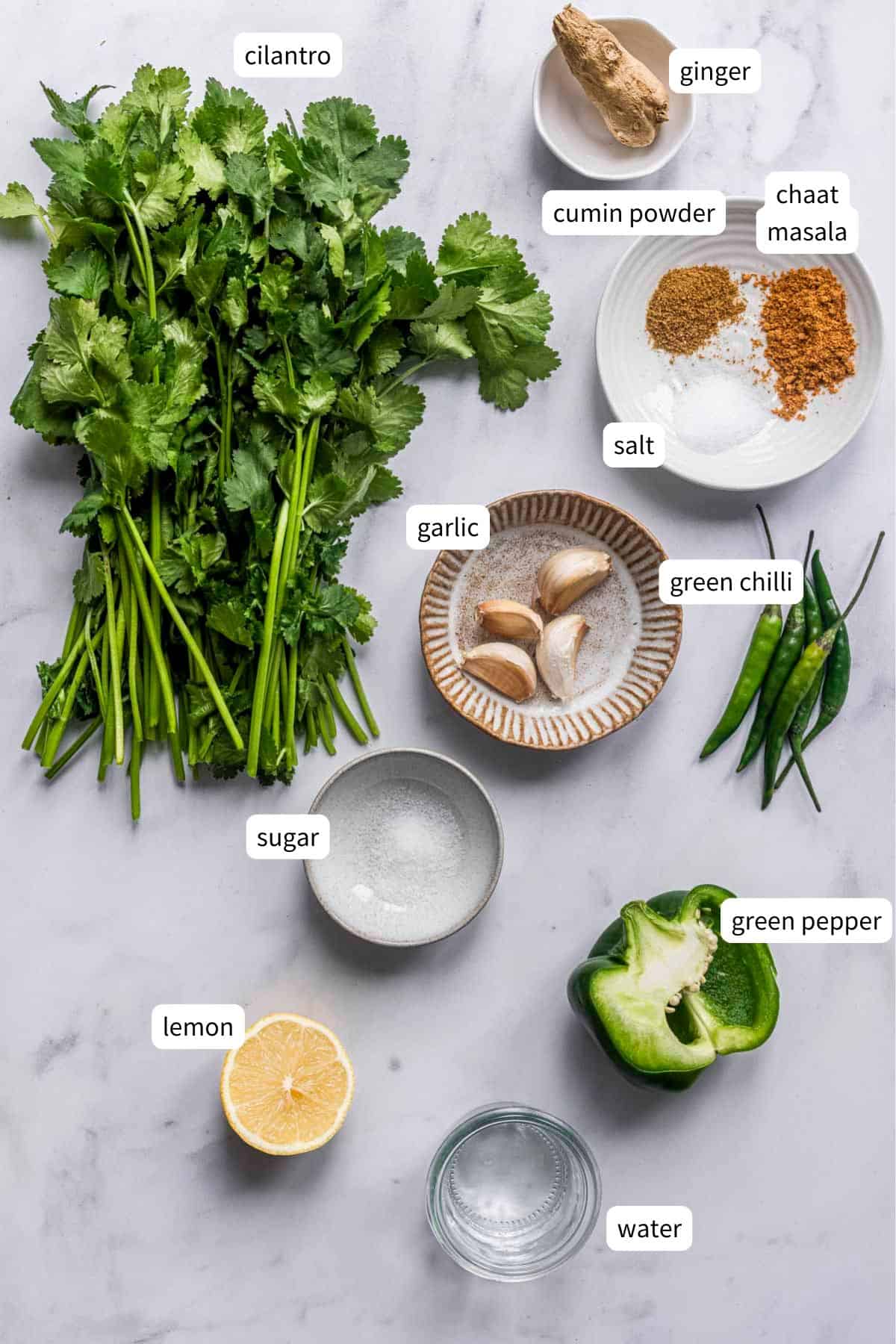 cilantro chutney ingredients