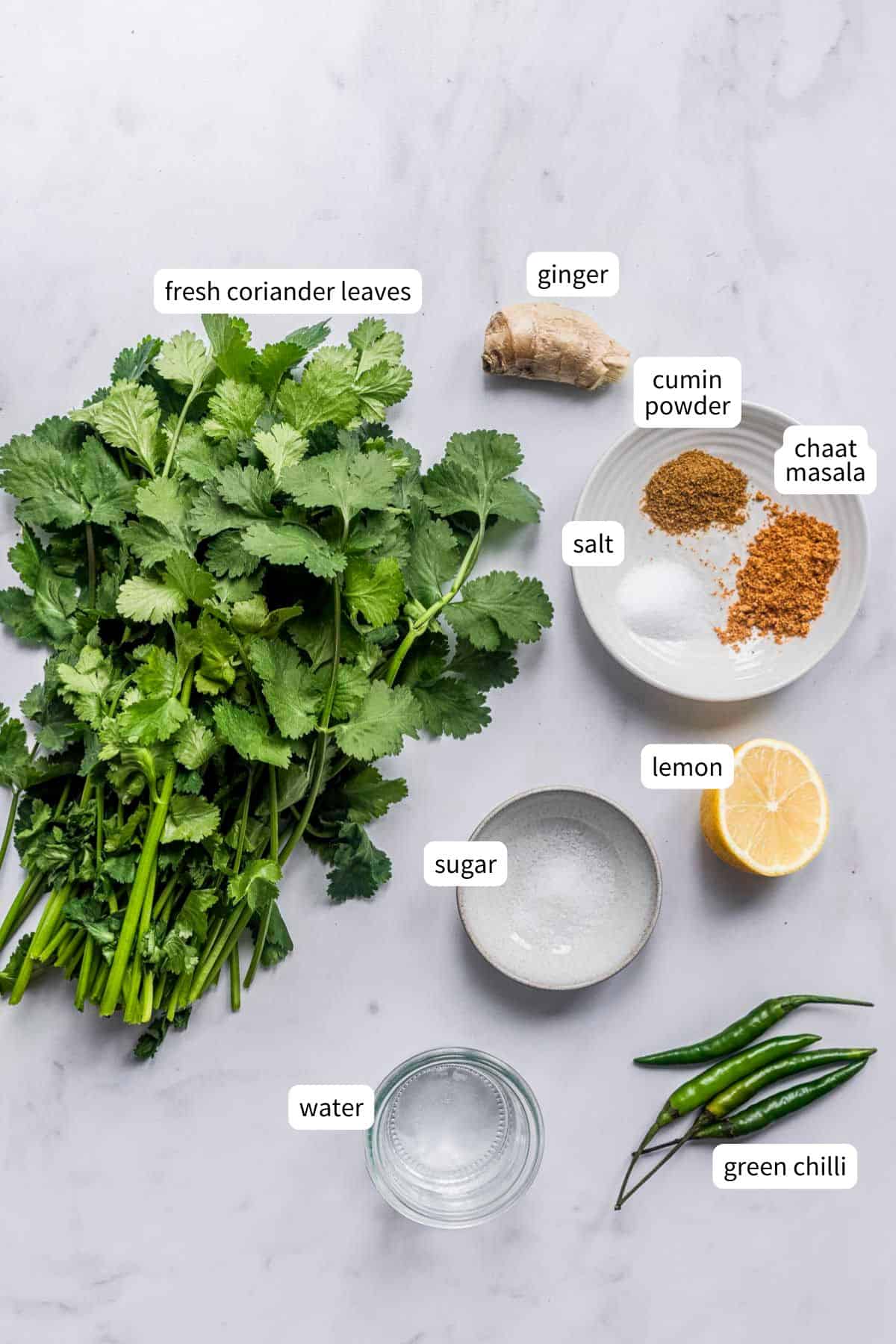 ingredients for making coriander chutney for chaat