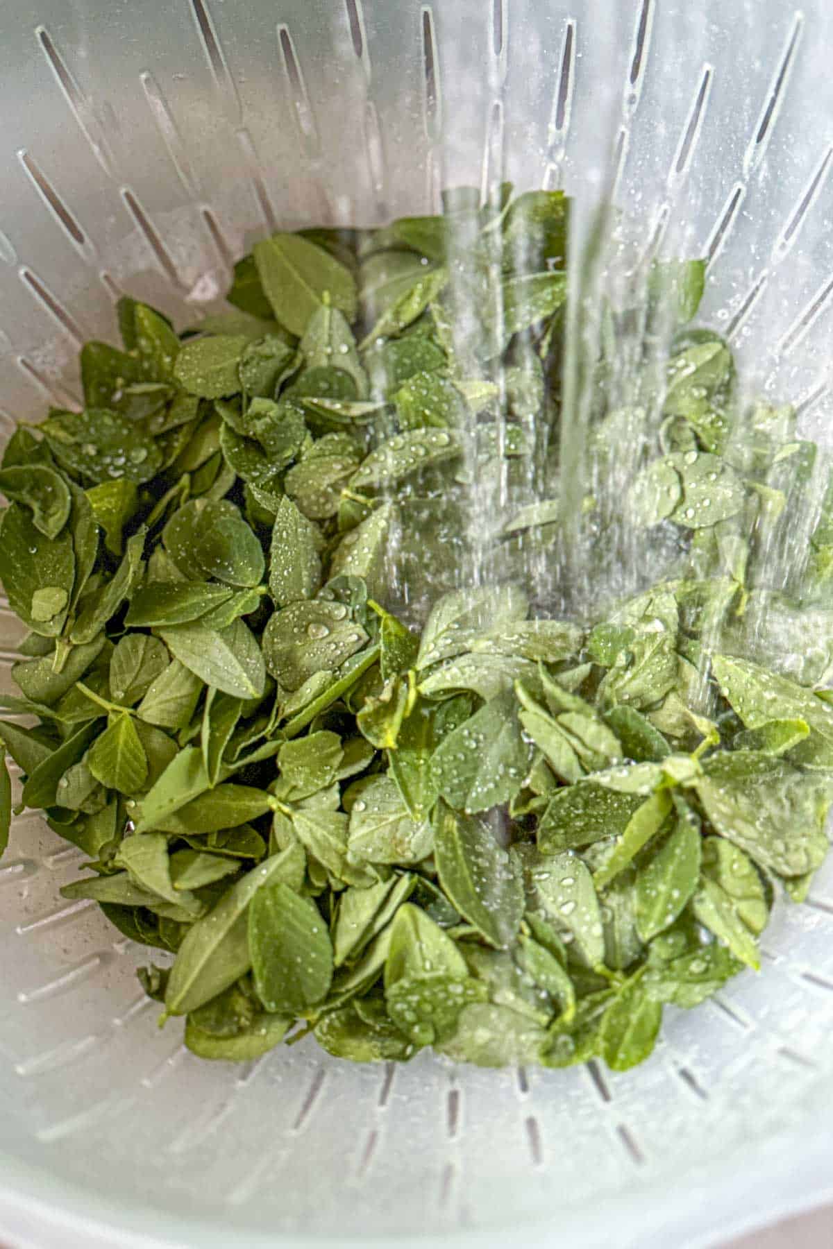 wash the methi leave in a colander.